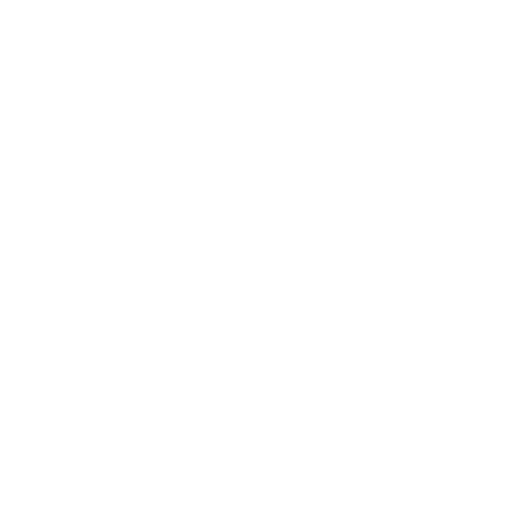 Purfek Storm Group HQ